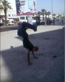 c oussama